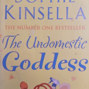 The Undomestic Goddess